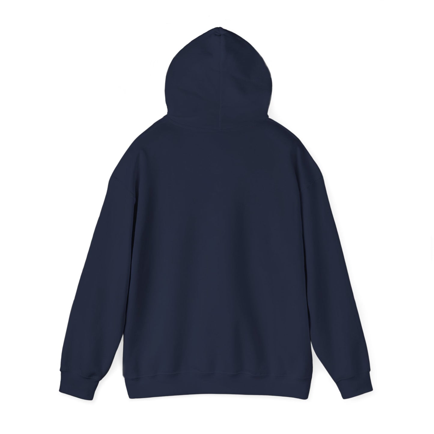 CIA USA Hoodie
