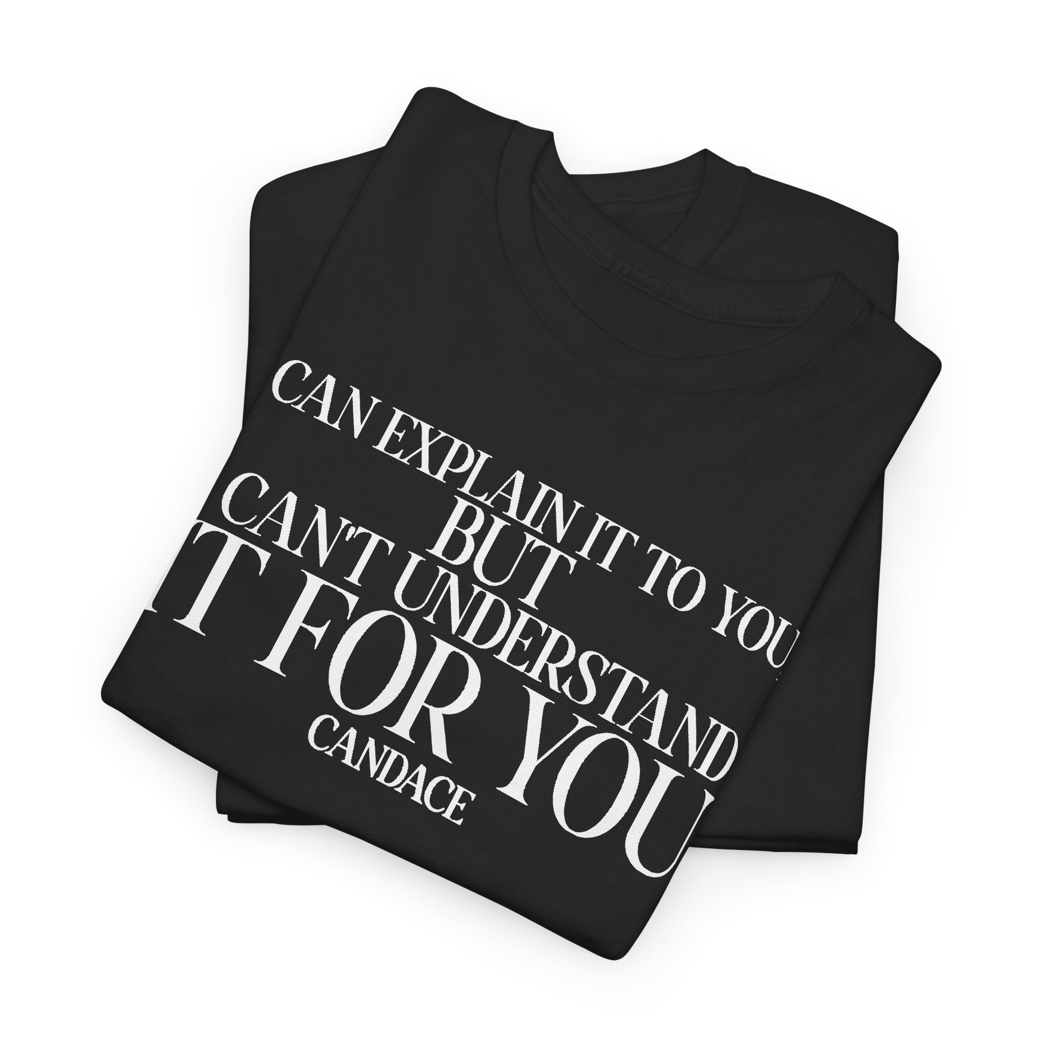 "I can explain it to you, but I cant understand it for you"  T-Shirt