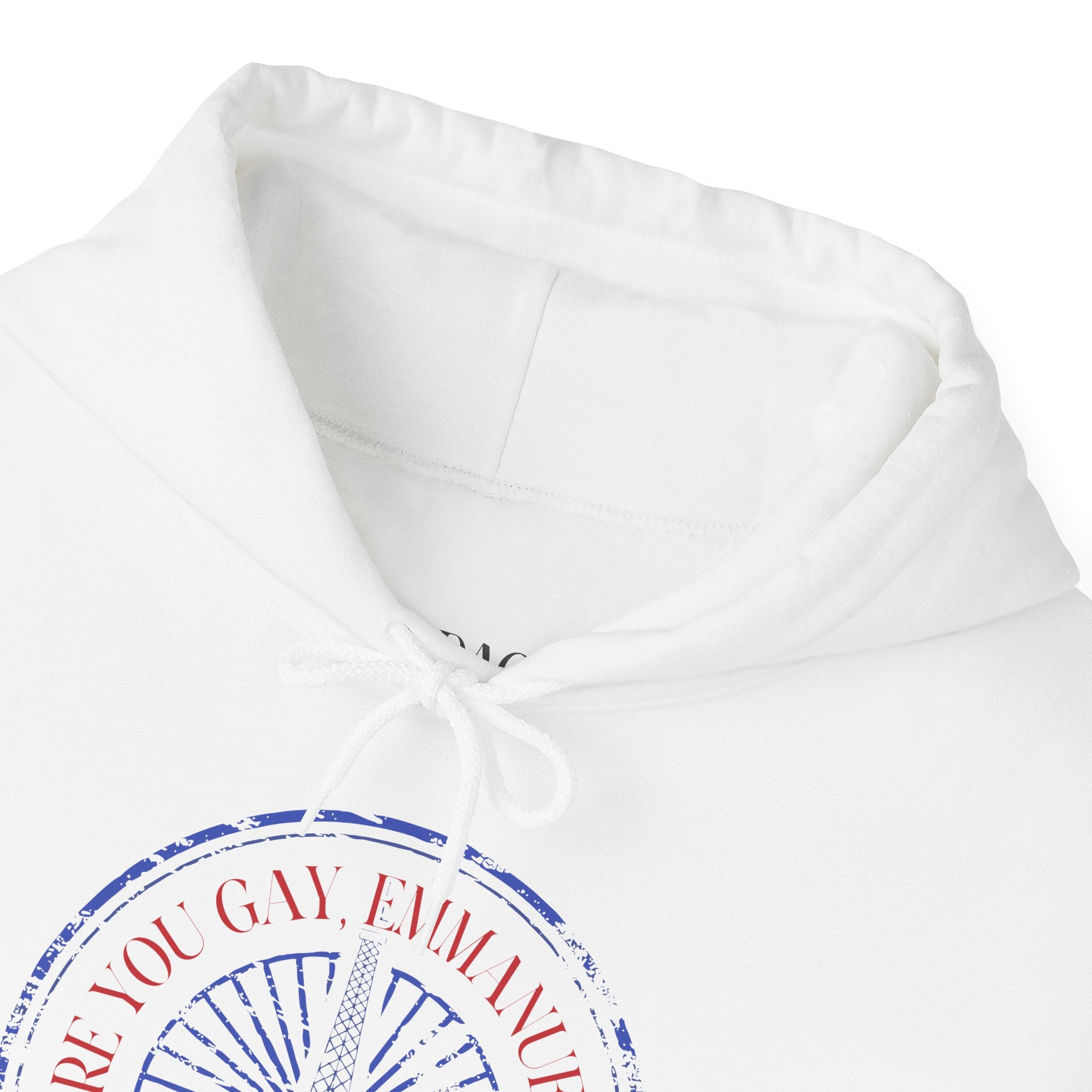 Why Are You Gay, Emmanuel Macron? Hoodie