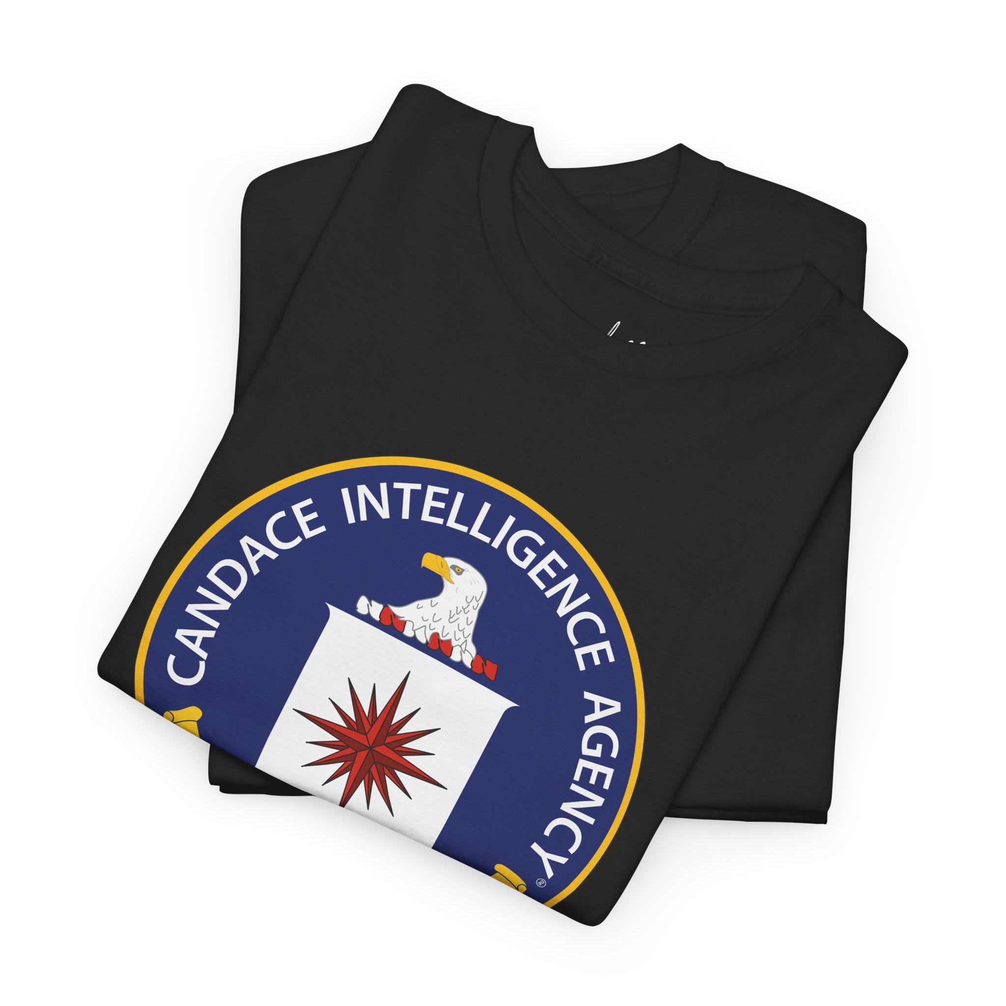 CIA T-Shirt