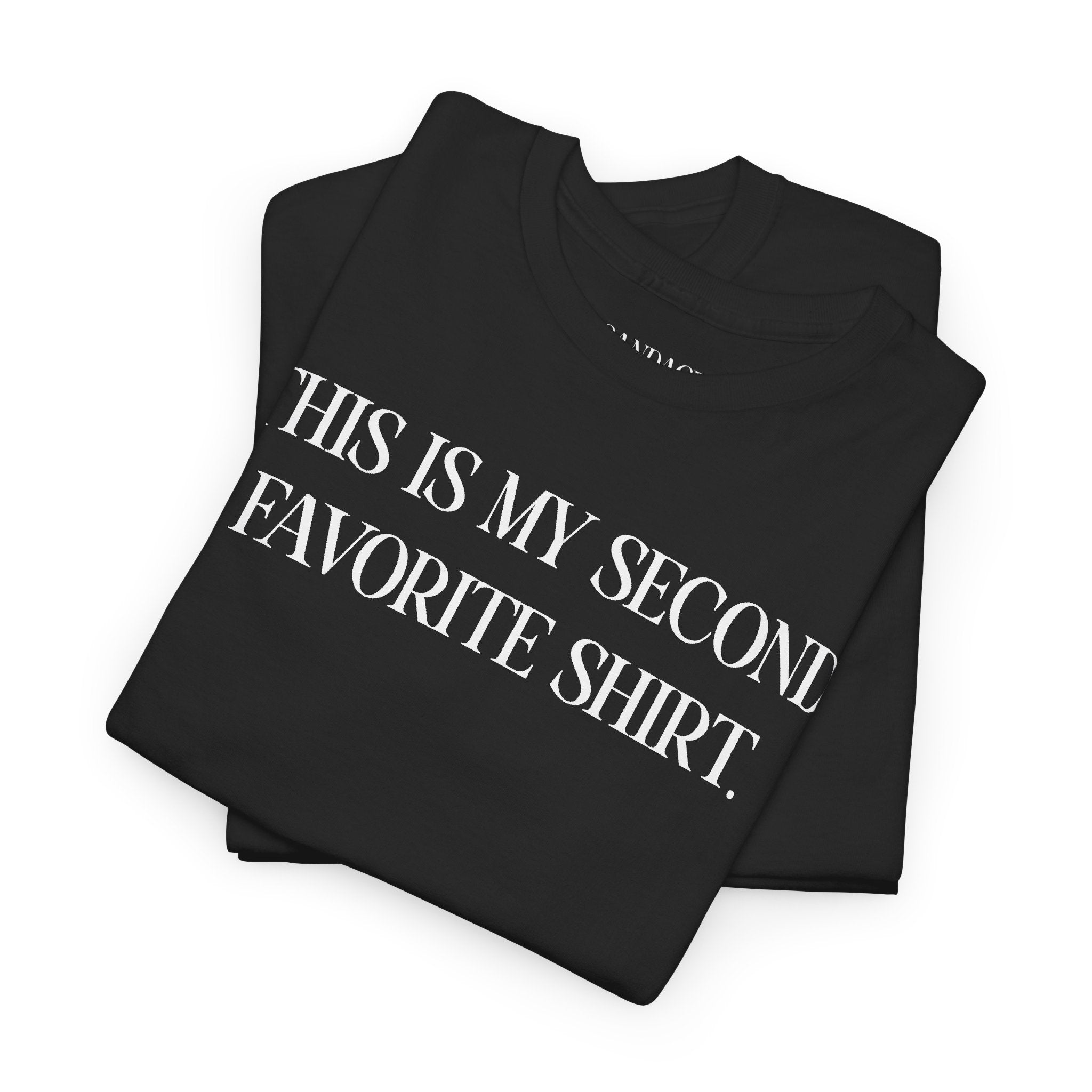 This Is My Second Favorite Shirt T-shirt