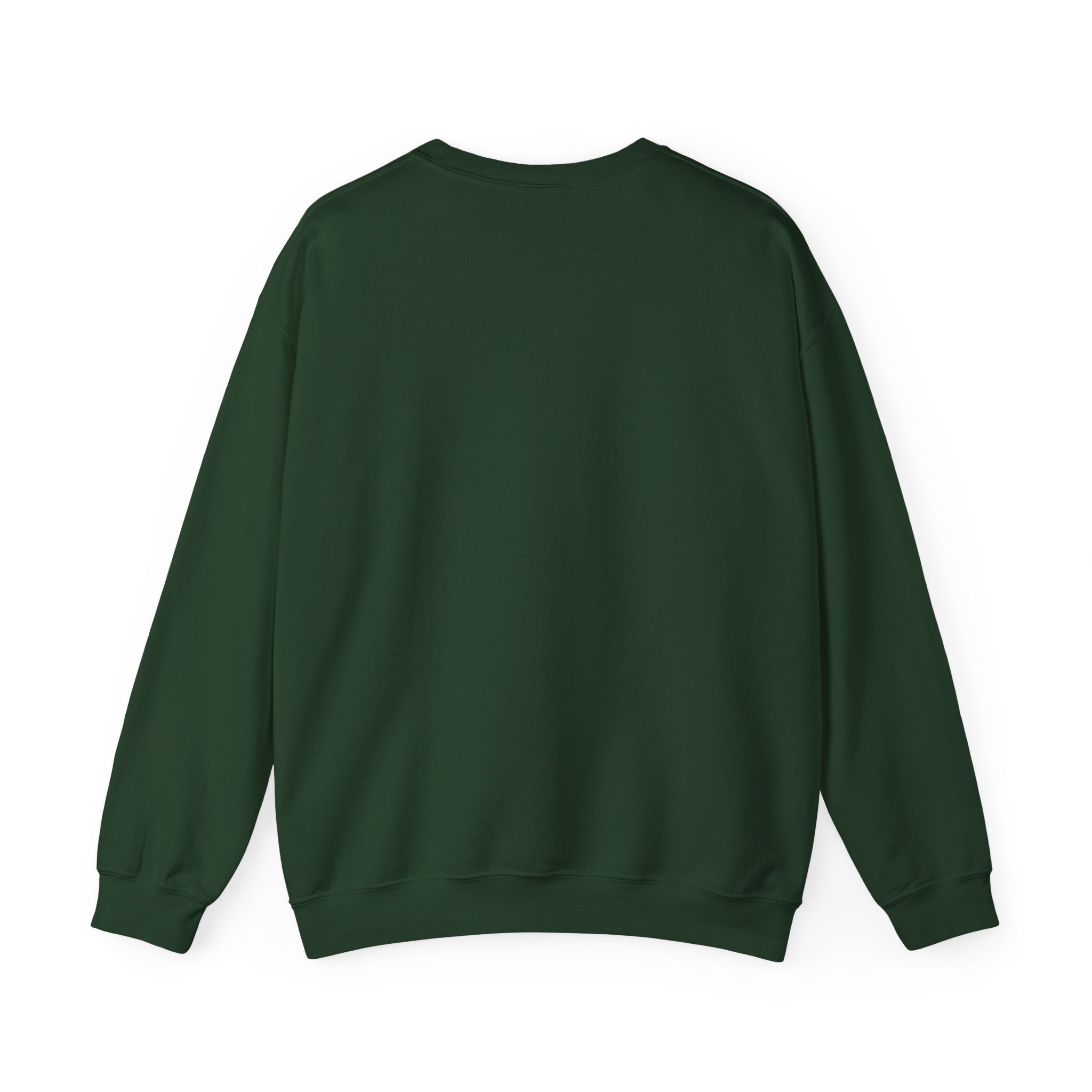 "I can explain it to you, but I cant understand it for you"  Sweatshirt