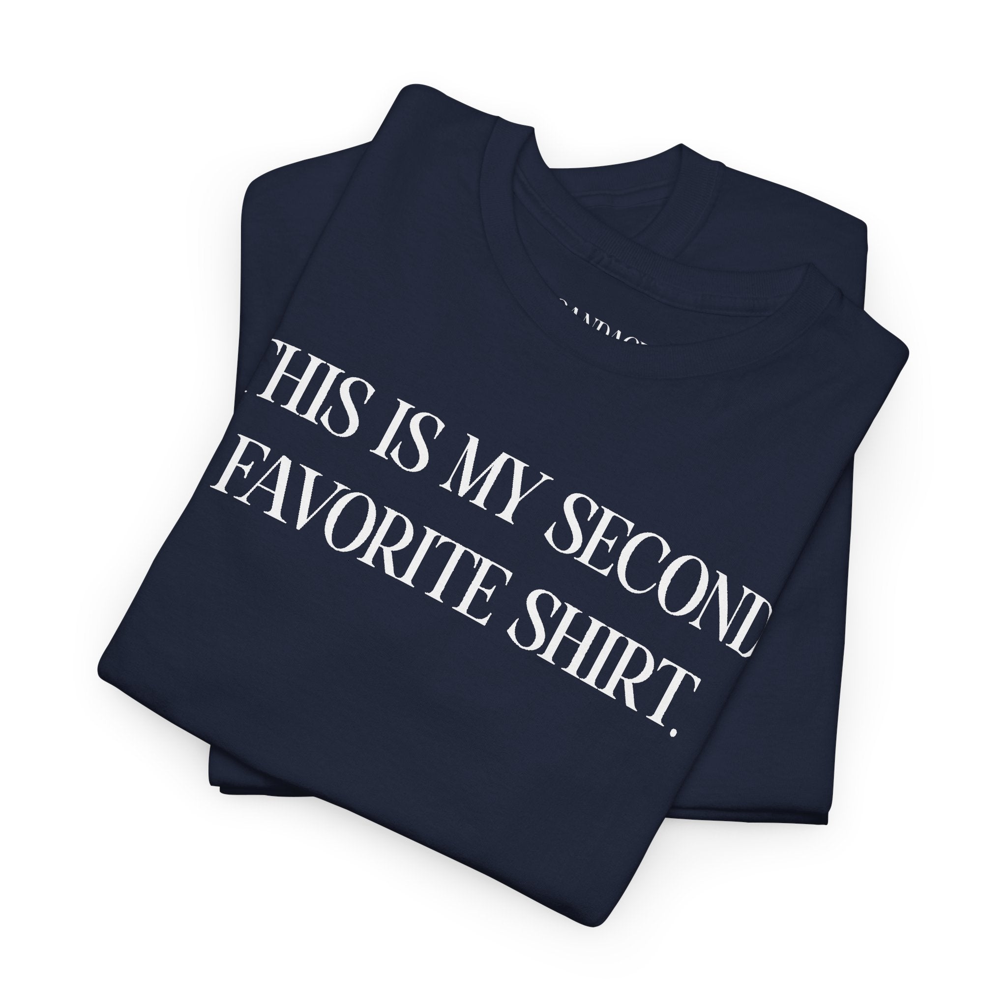 This Is My Second Favorite Shirt T-shirt