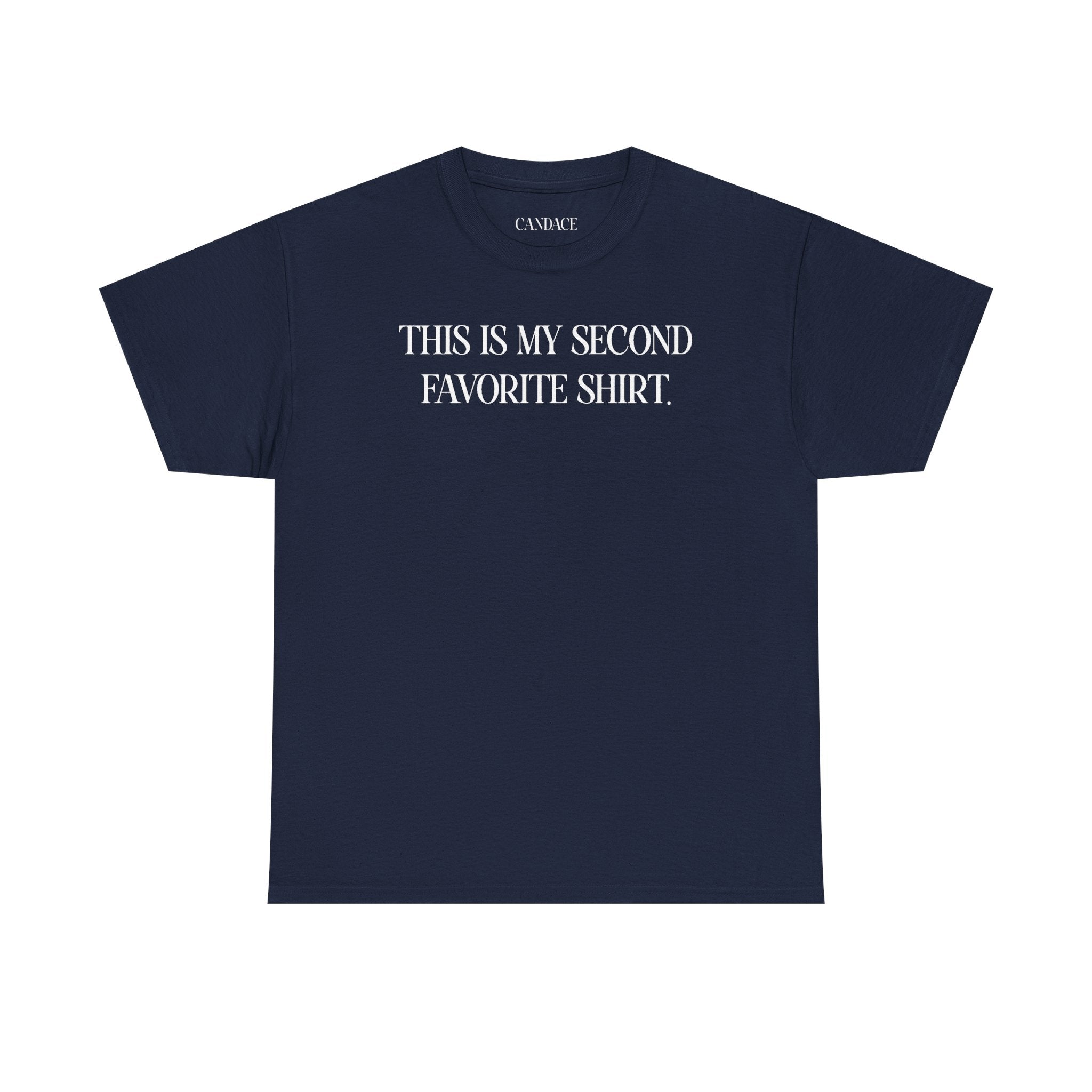 This Is My Second Favorite Shirt T-shirt