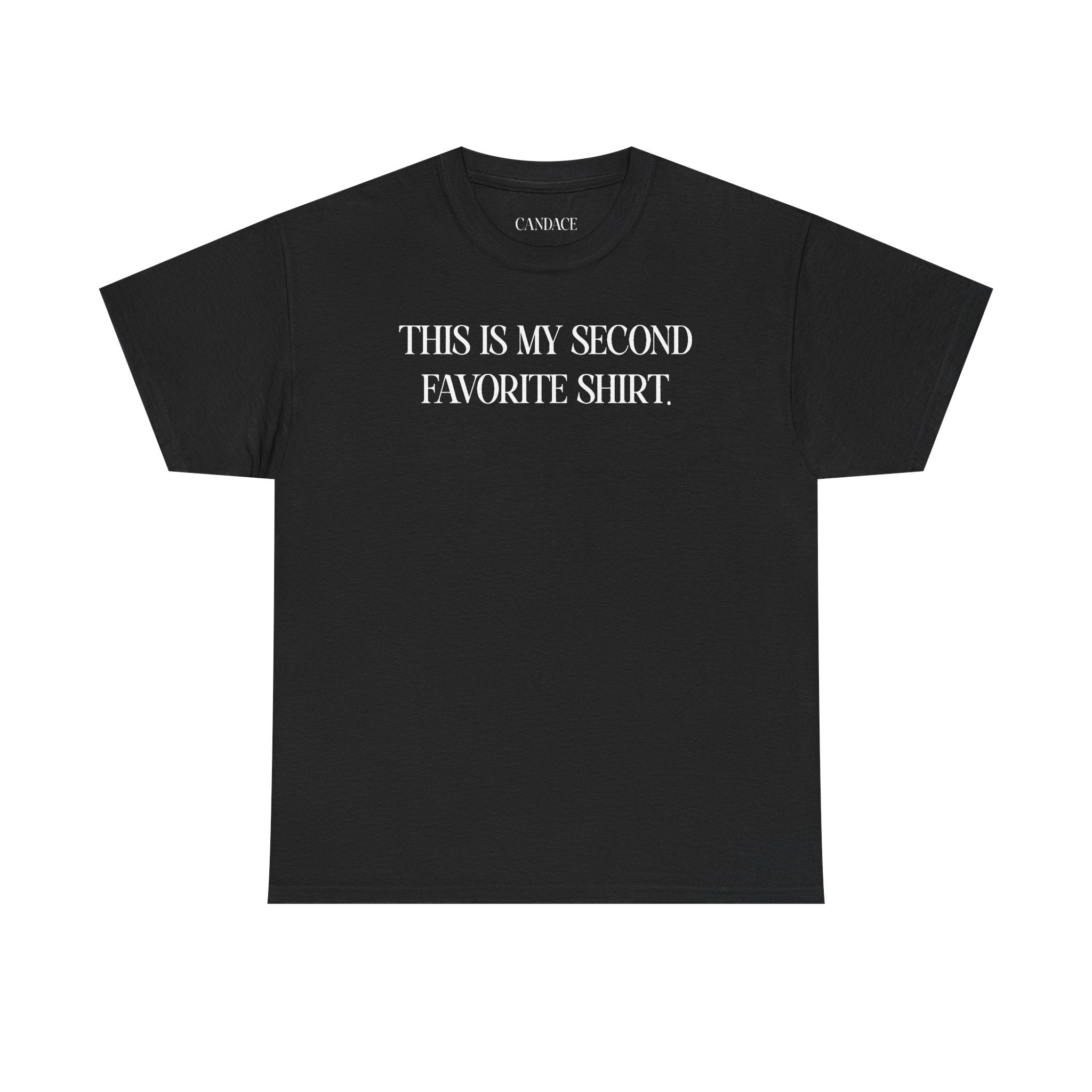 This Is My Second Favorite Shirt T-shirt