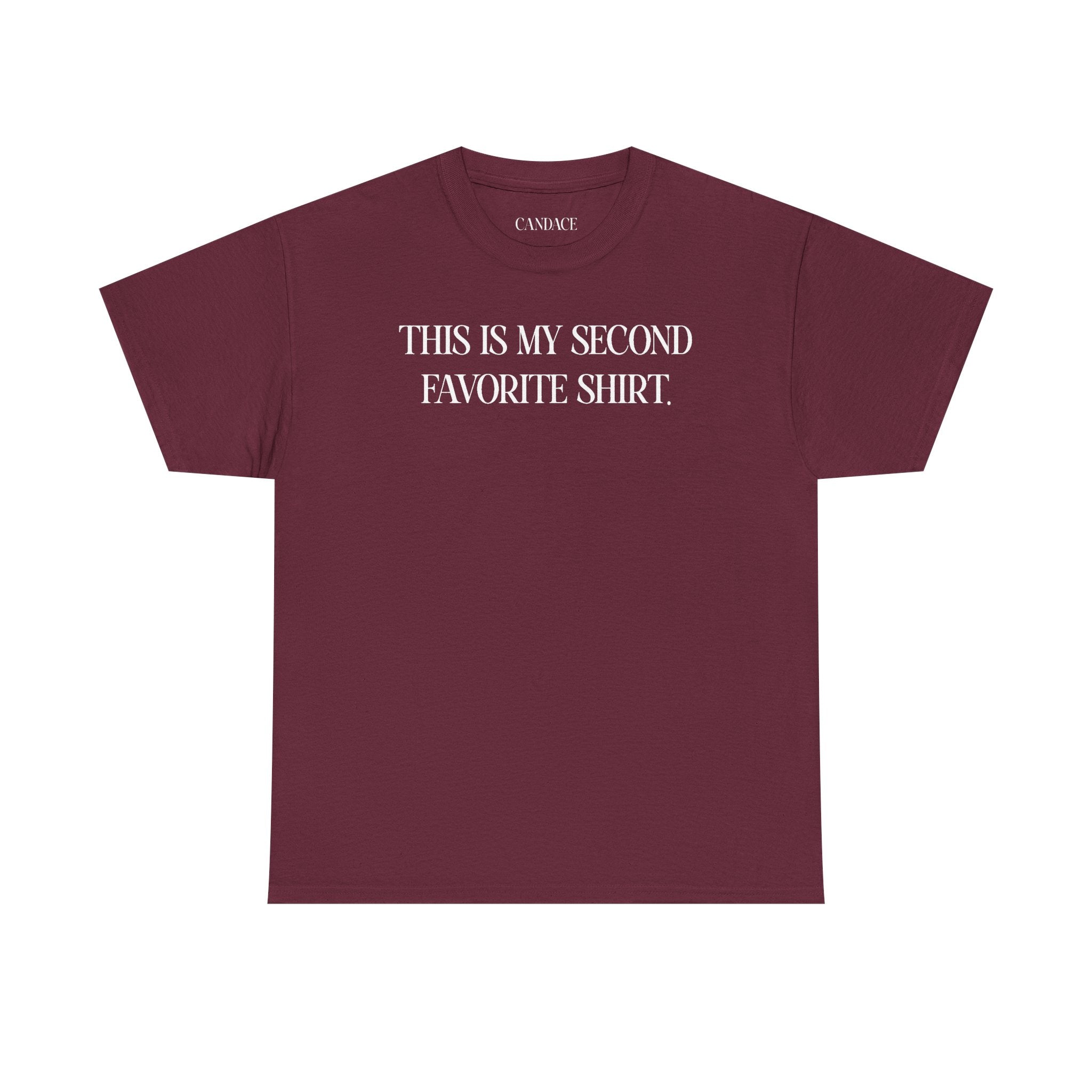 This Is My Second Favorite Shirt T-shirt