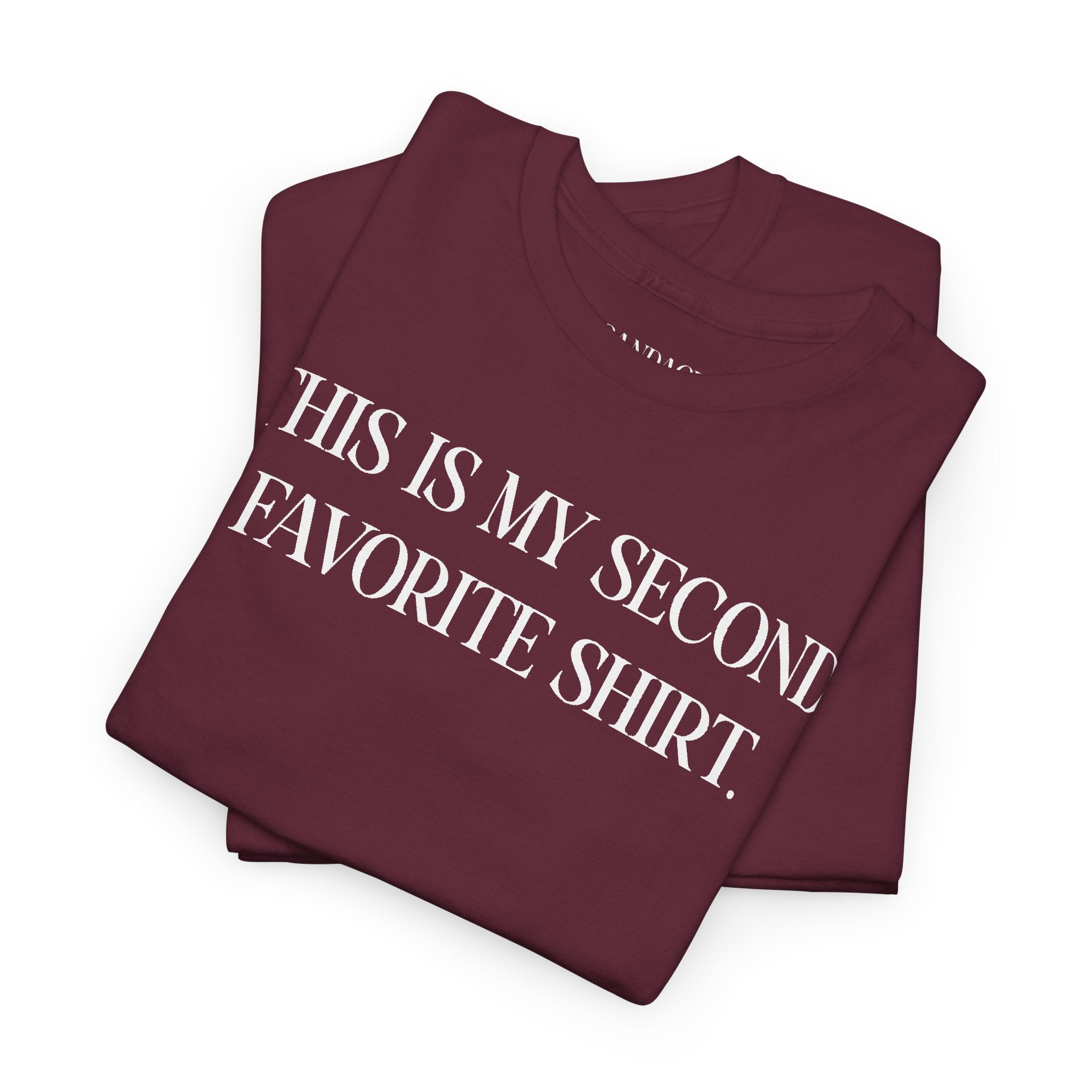 This Is My Second Favorite Shirt T-shirt