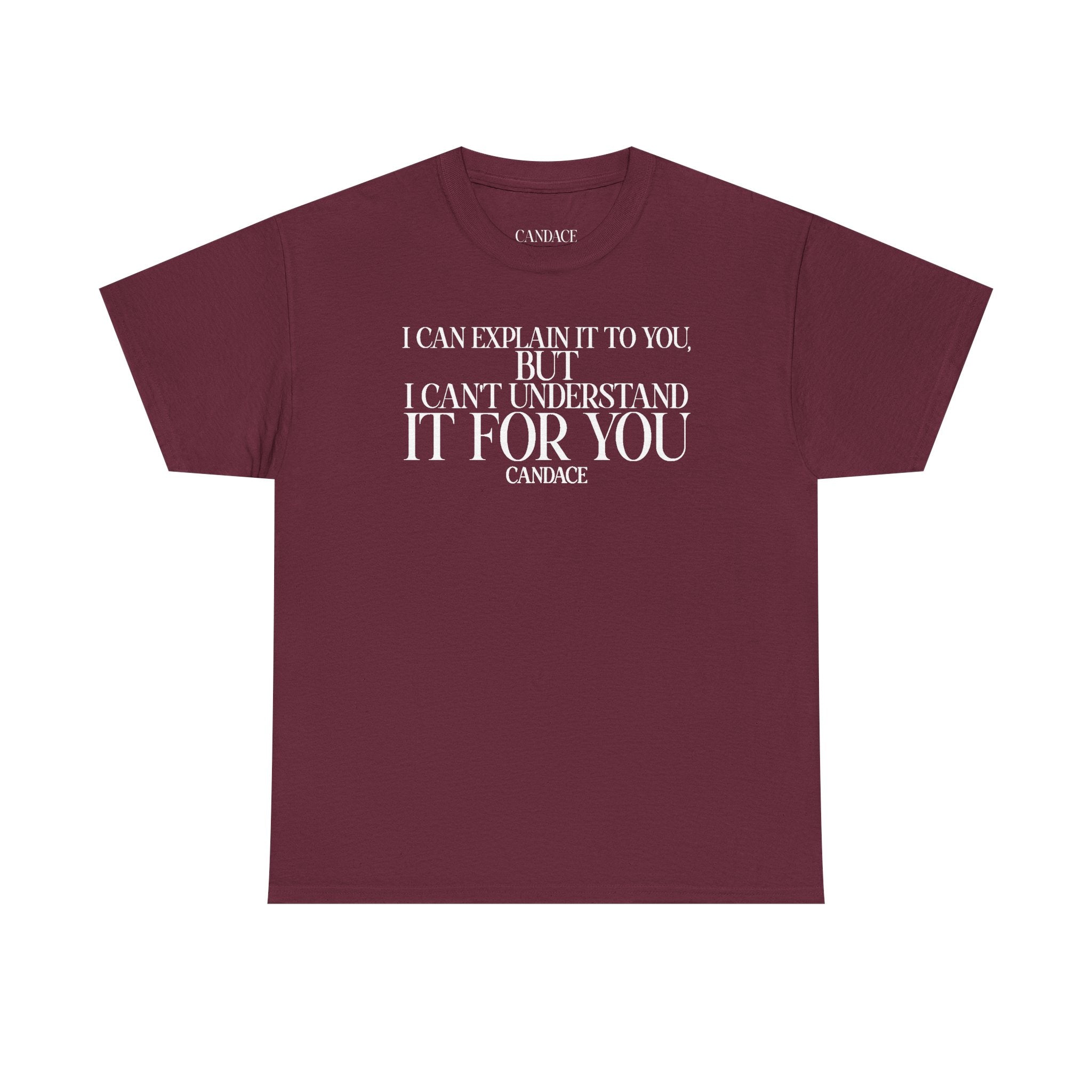 "I can explain it to you, but I cant understand it for you"  T-Shirt